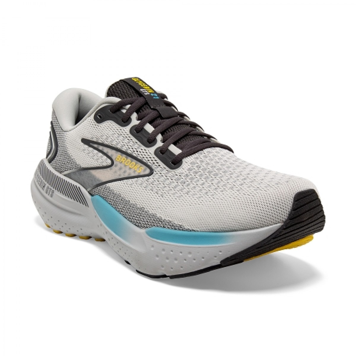 BrooksRunning_20231221114719_469207.jpg