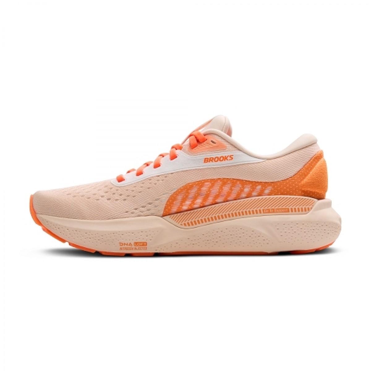 BrooksRunning_20250216003514_977722.jpg